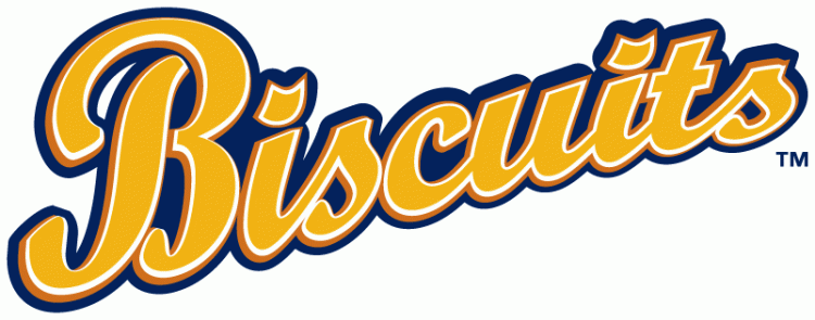 Montgomery Biscuits 2009-Pres Wordmark Logo vinyl decal